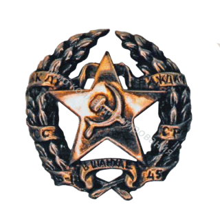 Почетный знак клуба граждан СССР в Шанхае Почетный знак клуба граждан СССР в Шанхае