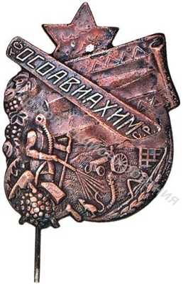 Знак ОСОАВИАХИМа Туркменской ССР Знак ОСОАВИАХИМа Туркменской ССР