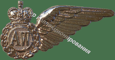 Нагрудный Знак 'Оператор РЭБ' Нагрудный Знак 'Оператор РЭБ'