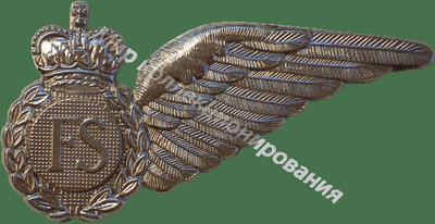 Нагрудный Знак 'Стюард' Нагрудный Знак 'Стюард'