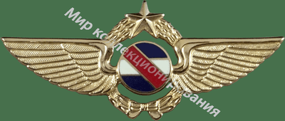 Нагрудный Знак 'Старший пилот (мини)' Нагрудный Знак 'Старший пилот (мини)'