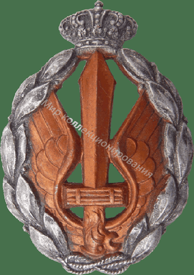 Нагрудный Знак 'Штурмовик в золоте' Нагрудный Знак 'Штурмовик в золоте'