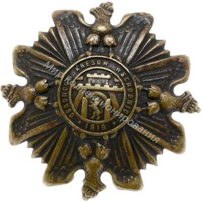 Нагрудный Знак 'Защитники восточной окраины 1919 года' Нагрудный Знак 'Защитники восточной окраины 1919 года'