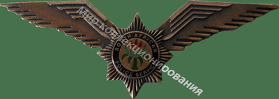 Нагрудный Знак 'Пилот, бронзовый' Нагрудный Знак 'Пилот, бронзовый'