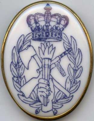 Нагрудный Знак 'Национальная гвардия' Нагрудный Знак 'Национальная гвардия'