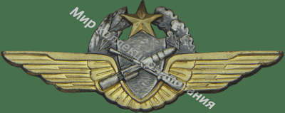 Нагрудный Знак 'Пилот наблюдатель' Нагрудный Знак 'Пилот наблюдатель'