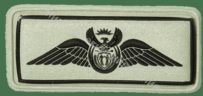 Нагрудный Знак 'Пилот с налетом от 500 до 2500 часов' Нагрудный Знак 'Пилот с налетом от 500 до 2500 часов'