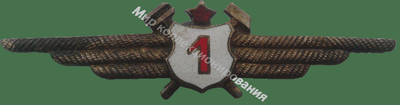 Нагрудный Знак 'Авиатехник 1 класса' Нагрудный Знак 'Авиатехник 1 класса'