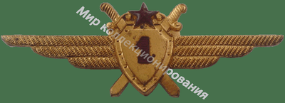 Нагрудный Знак 'Летчик 1 класса' Нагрудный Знак 'Летчик 1 класса'