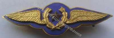 Нагрудный Знак 'Пилот на рубашку' Нагрудный Знак 'Пилот на рубашку'