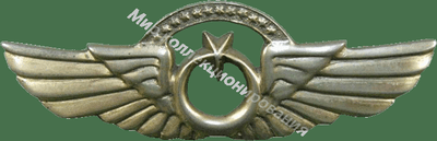Нагрудный Знак 'Пилот с налетом 1000 часов' Нагрудный Знак 'Пилот с налетом 1000 часов'