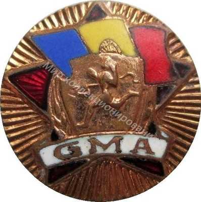 Нагрудный Знак 'Готов к труду и обороне GMA' Нагрудный Знак 'Готов к труду и обороне GMA'