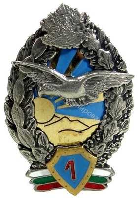 Нагрудный Знак 'Летчик 1 класса ' Нагрудный Знак 'Летчик 1 класса '