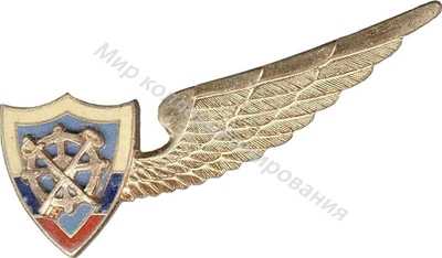 Нагрудный Знак 'Административная служба ' Нагрудный Знак 'Административная служба '