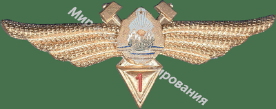 Нагрудный Знак 'Авиатехник 1 класса ' Нагрудный Знак 'Авиатехник 1 класса '