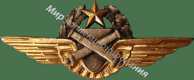 Нагрудный Знак 'Пилот наблюдатель ' Нагрудный Знак 'Пилот наблюдатель '