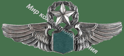 Нагрудный Знак 'Мастер Пилот ' Нагрудный Знак 'Мастер Пилот '