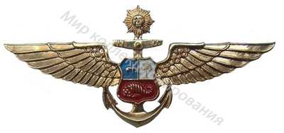 Нагрудный Знак 'Летчик ' Нагрудный Знак 'Летчик '