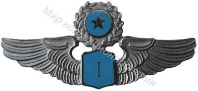 Нагрудный Знак 'Пилот 1 класса ' Нагрудный Знак 'Пилот 1 класса '