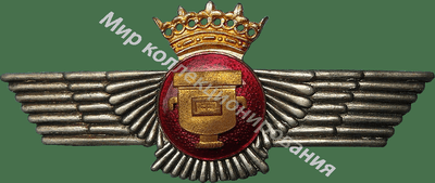 Нагрудный Знак 'Аэрофотограф ' Нагрудный Знак 'Аэрофотограф '