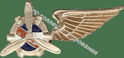 Нагрудный Знак 'Авиатехник золотистый ' Нагрудный Знак 'Авиатехник золотистый '