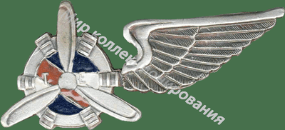 Нагрудный Знак 'Авиатехника серебристый ' Нагрудный Знак 'Авиатехника серебристый '