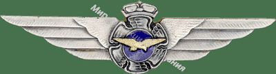 Нагрудный Знак 'Член экипажа ' Нагрудный Знак 'Член экипажа '