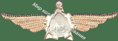 Нагрудный Знак 'Авиаинженер ' Нагрудный Знак 'Авиаинженер '