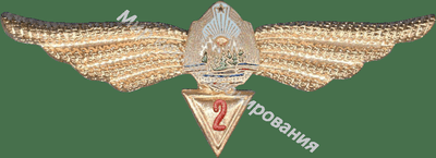 Нагрудный Знак 'Штурман 2 класса ' Нагрудный Знак 'Штурман 2 класса '