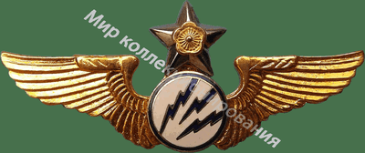 Нагрудный Знак 'Воздушный радист ' Нагрудный Знак 'Воздушный радист '