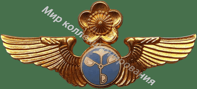 Нагрудный Знак 'Авиационный метеоролог ' Нагрудный Знак 'Авиационный метеоролог '