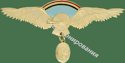 Нагрудный Знак 'Пилот командного ранга ' Нагрудный Знак 'Пилот командного ранга '