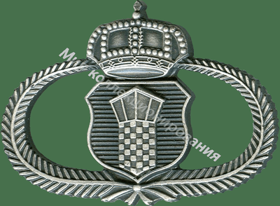 Нагрудный Знак 'Авиадиспетчер ' Нагрудный Знак 'Авиадиспетчер '