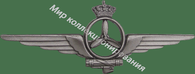 Нагрудный Знак 'Авиатехник ' Нагрудный Знак 'Авиатехник '
