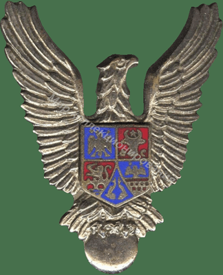 Нагрудный Знак 'Пилот без класса ' Нагрудный Знак 'Пилот без класса '
