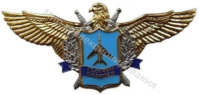 Нагрудный Знак 'Летчик-снайпер ' Нагрудный Знак 'Летчик-снайпер '