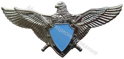 Нагрудный Знак 'Летчик без класса ' Нагрудный Знак 'Летчик без класса '