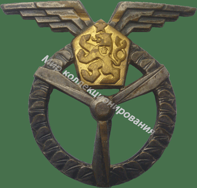 Нагрудный Знак 'Наземный техник 1 класса' Нагрудный Знак 'Наземный техник 1 класса'