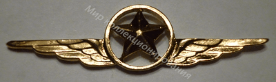 Нагрудный Знак 'Служба безопасности' Нагрудный Знак 'Служба безопасности'