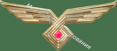 Нагрудный Знак 'Общий знак ВВС, золотистый' Нагрудный Знак 'Общий знак ВВС, золотистый'