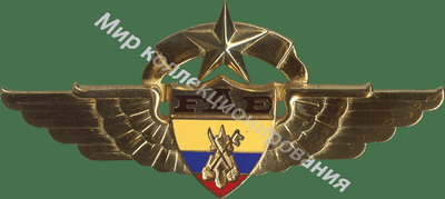 Нагрудный Знак 'Специалист 1 класса (мастер) финансового департамента' Нагрудный Знак 'Специалист 1 класса (мастер) финансового департамента'