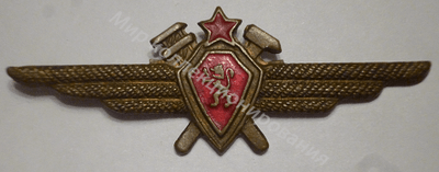 Нагрудный Знак 'Авиатехник без класса' Нагрудный Знак 'Авиатехник без класса'