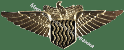 Нагрудный Знак 'Пилот золотистый' Нагрудный Знак 'Пилот золотистый'