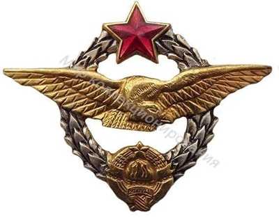 Нагрудный Знак 'Пилот (тип 1)' Нагрудный Знак 'Пилот (тип 1)'