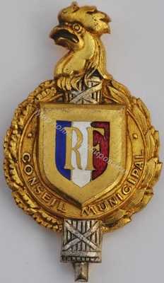 Нагрудный Знак 'Муниципальный совет' Нагрудный Знак 'Муниципальный совет'