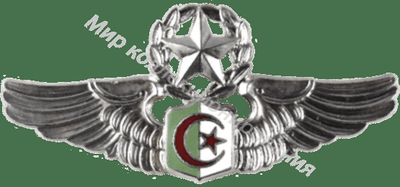 Нагрудный Знак 'Мастер пилот' Нагрудный Знак 'Мастер пилот'
