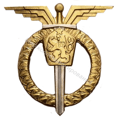 Нагрудный Знак 'Почетный пилот' Нагрудный Знак 'Почетный пилот'