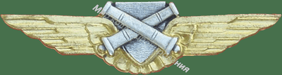 Нагрудный Знак 'Не летный специалист' Нагрудный Знак 'Не летный специалист'