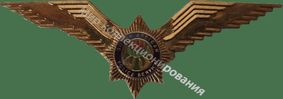 Нагрудный Знак 'Пилот полиции' Нагрудный Знак 'Пилот полиции'