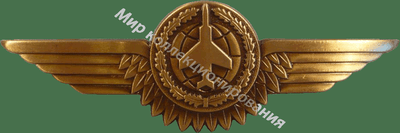 Нагрудный Знак 'Наблюдатель 3 класса' Нагрудный Знак 'Наблюдатель 3 класса'